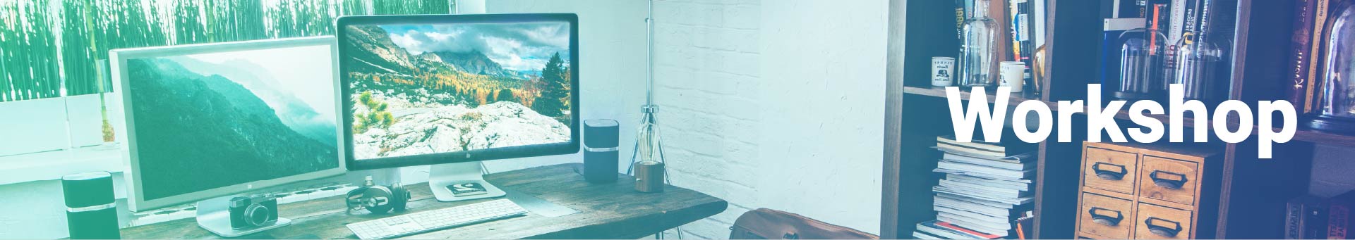 extension scoping workshop