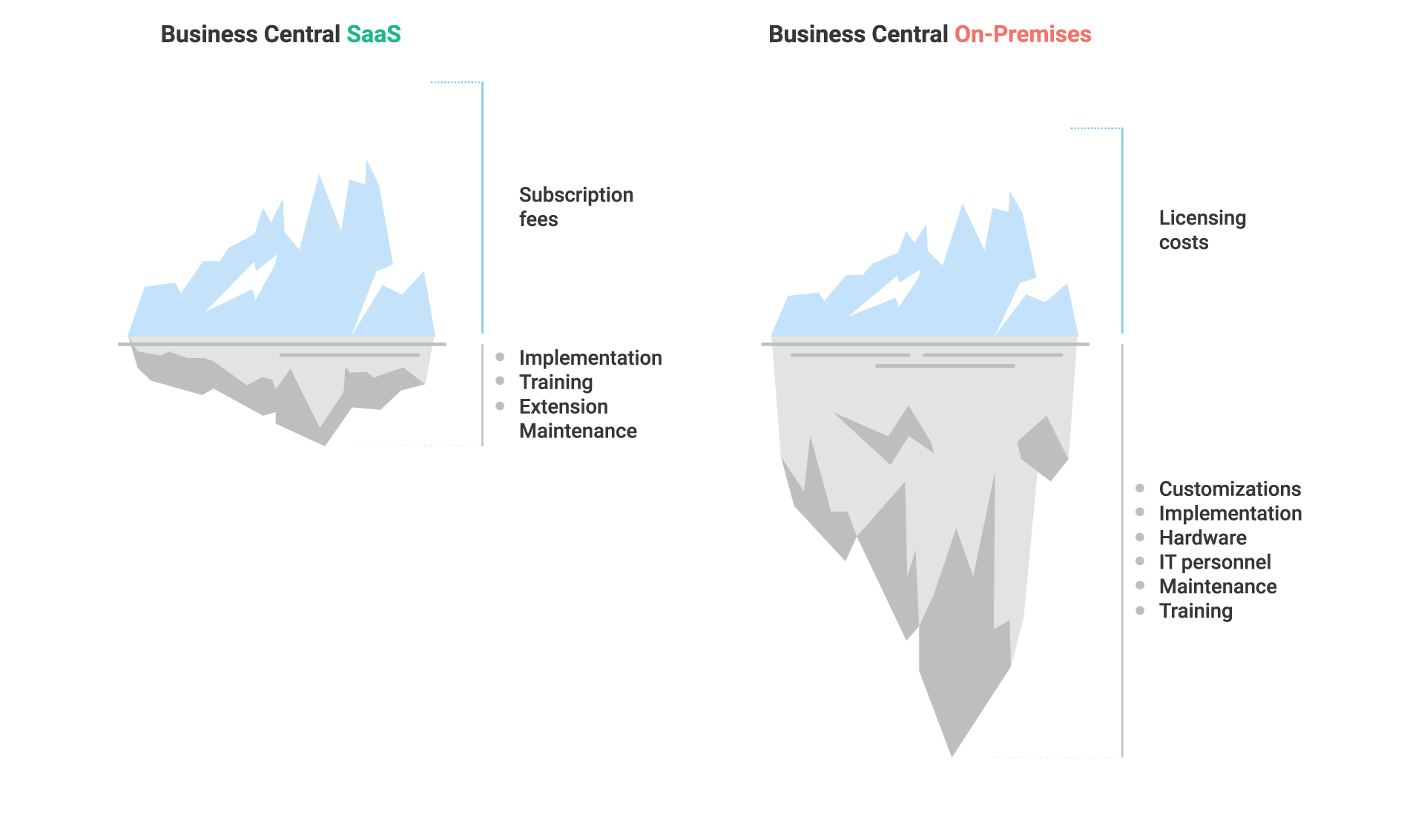 Software Running Costs are Higher for Microsoft Dynamics 365 Business Central On-Premises Solutions